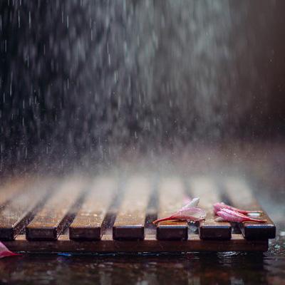 上海本周梅雨“全勤” 长江中下游强降雨持续到月底